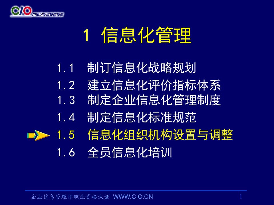 企业信息管理师培训-信息化管理高级