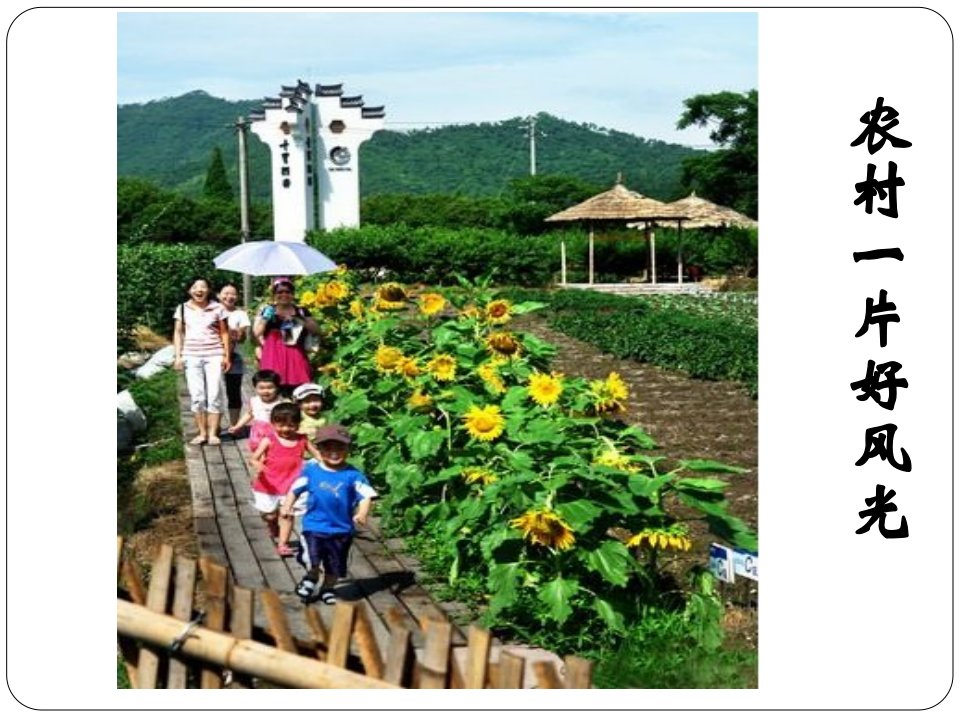 家庭经营及家庭农场管理电子教案