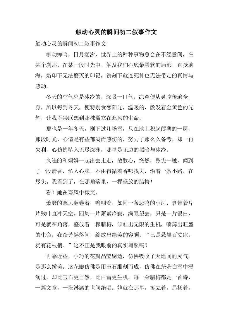 触动心灵的瞬间初二叙事作文