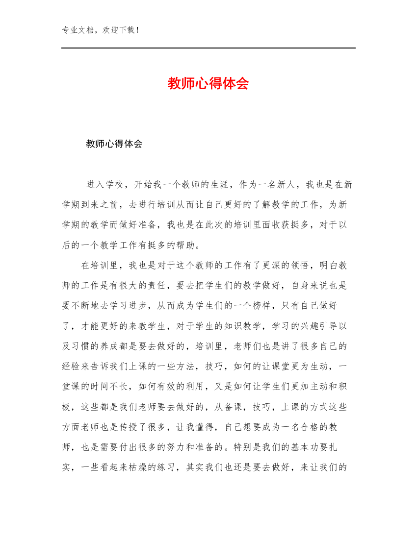 教师心得体会例文19篇