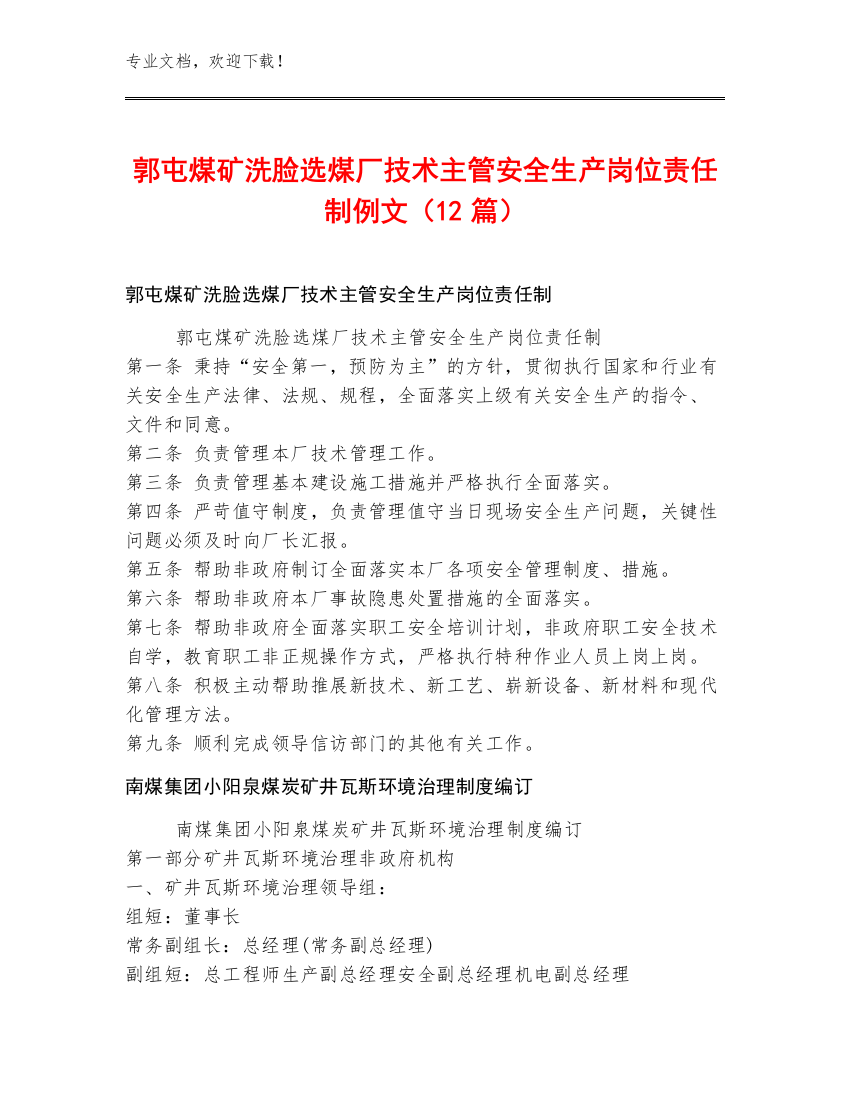 郭屯煤矿洗脸选煤厂技术主管安全生产岗位责任制例文（12篇）