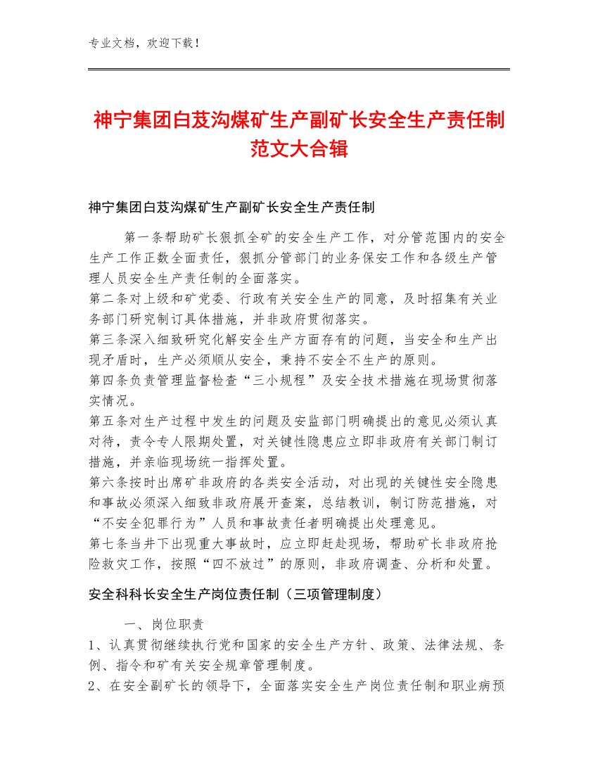 神宁集团白芨沟煤矿生产副矿长安全生产责任制范文大合辑