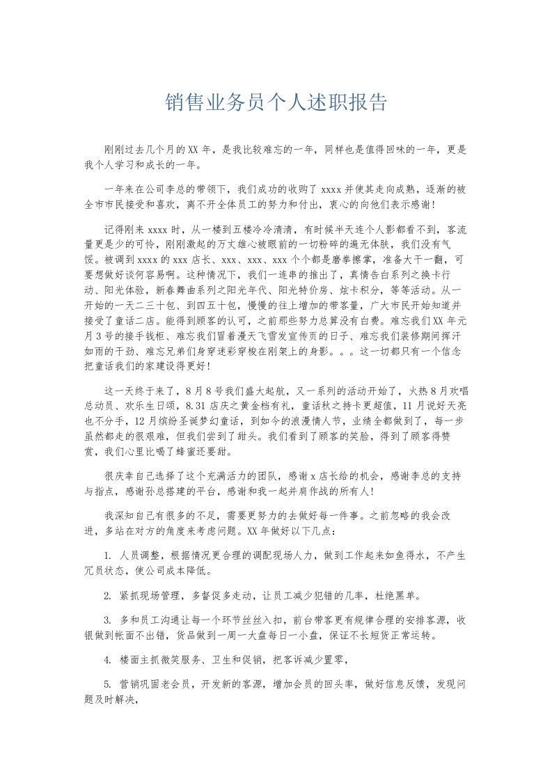 总结报告销售业务员个人述职报告