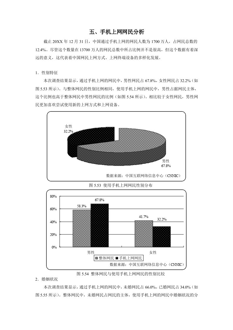 发展战略-中国互联网络发展状况统计报告二