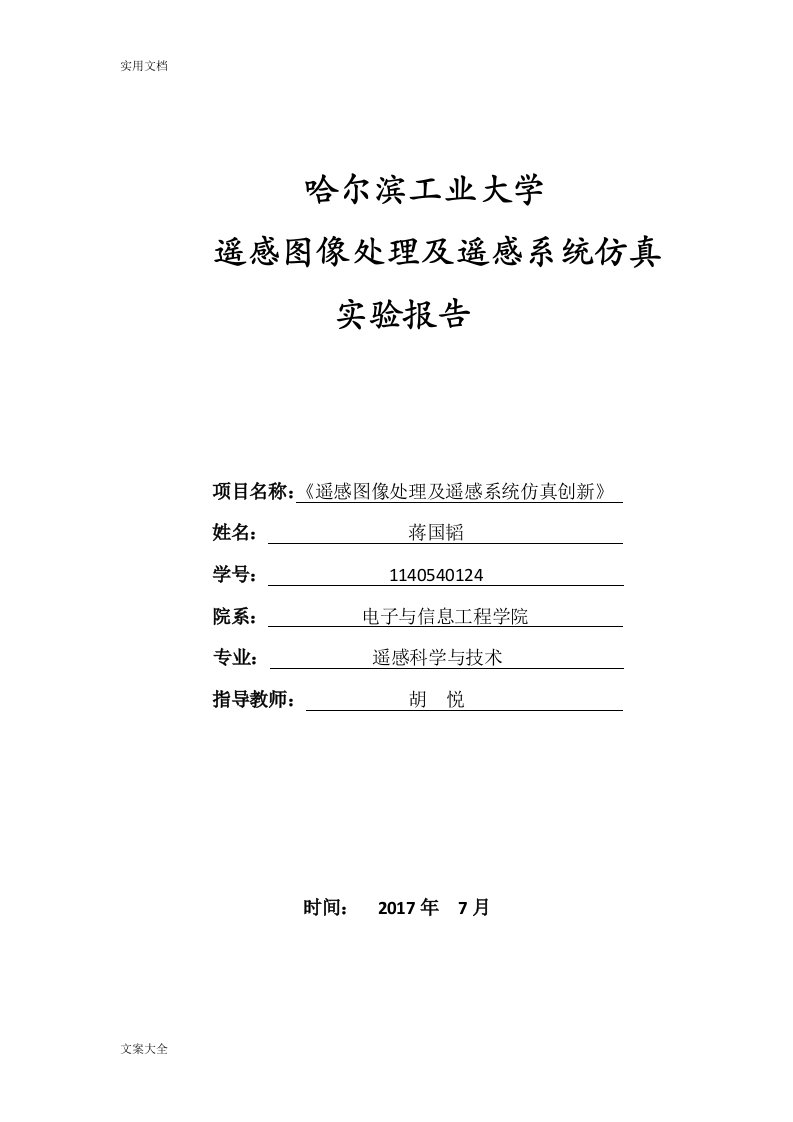 遥感图像处理实验docx