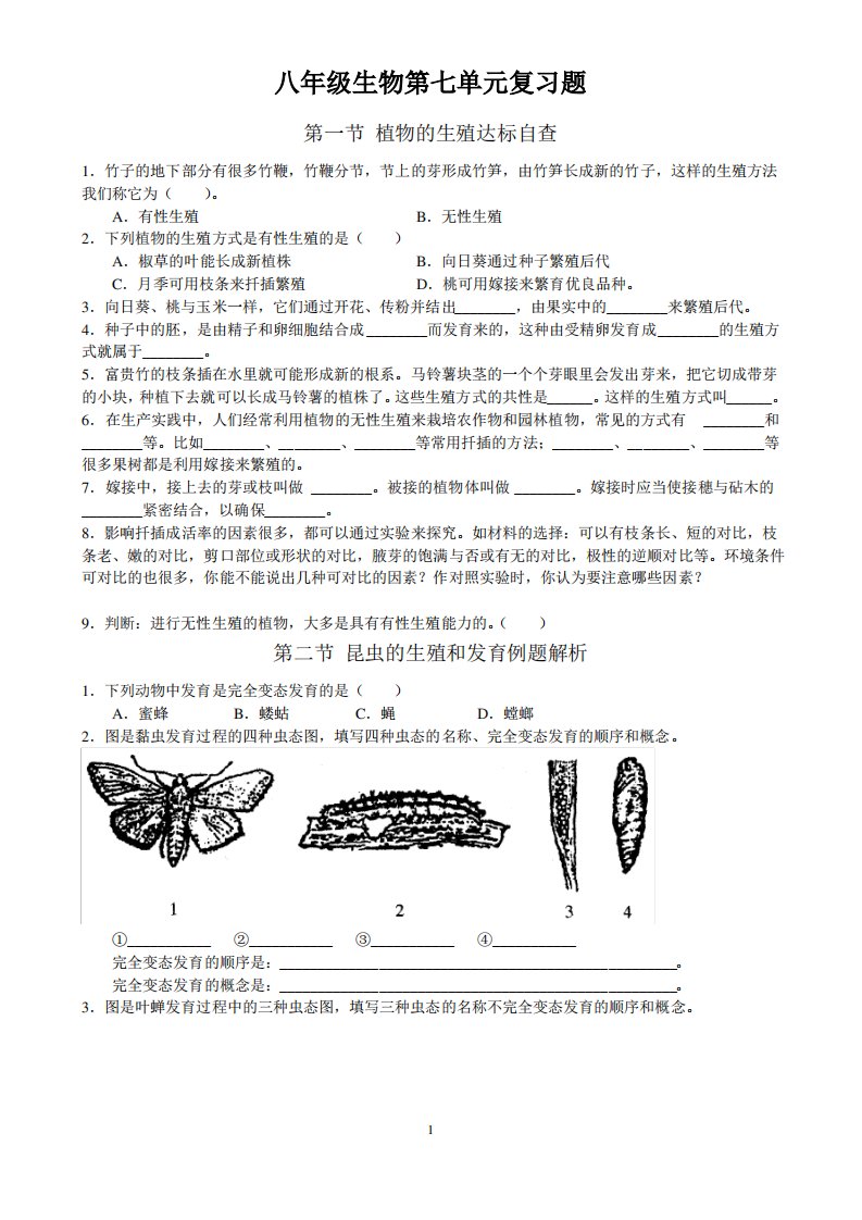 八年级生物第七单元复习题