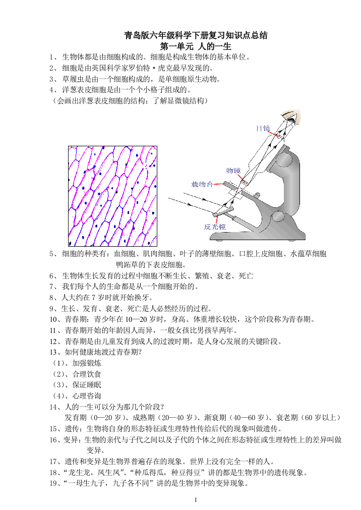 青岛版六年级下册科学(全册)基础知识点总结及试题