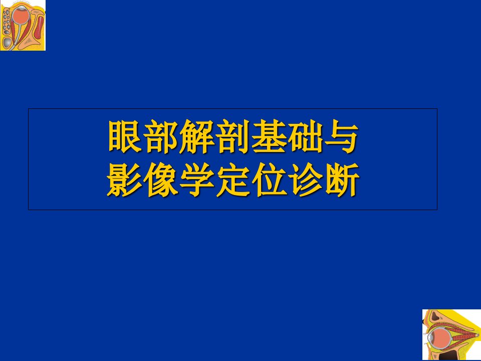 眼眶解剖影像学定位ppt课件