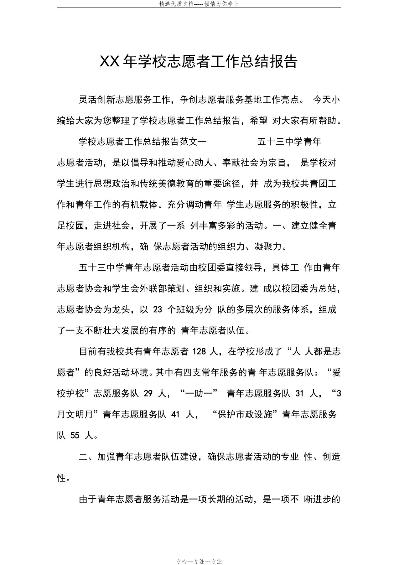 学校志愿者工作总结报告(共12页)