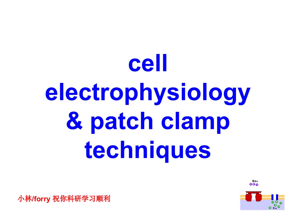 细胞电生理学与膜片钳技术