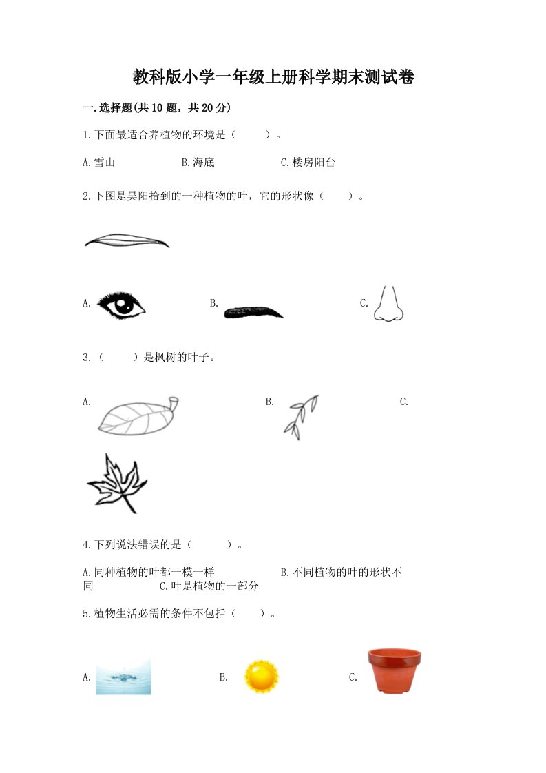 教科版小学一年级上册科学期末测试卷及参考答案【满分必刷】