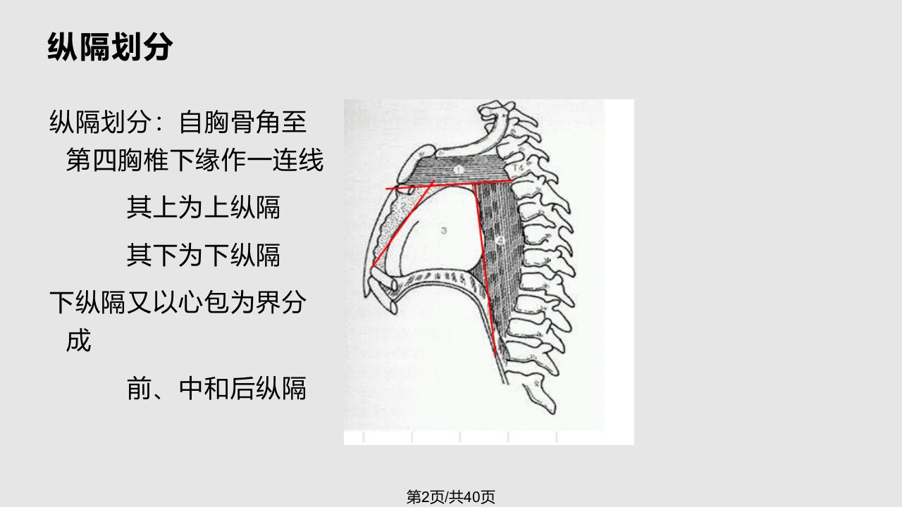 肺癌纵隔分期评估