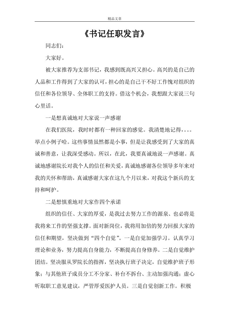 《书记任职发言》