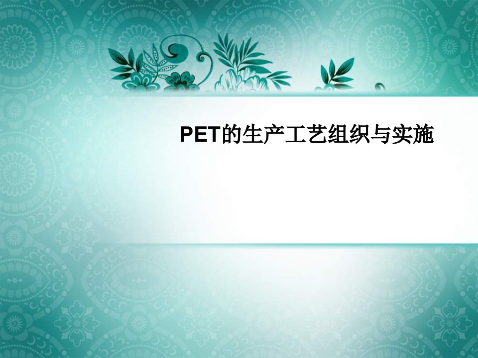 PET的生产工艺组织与实施-课件（PPT·精·选）