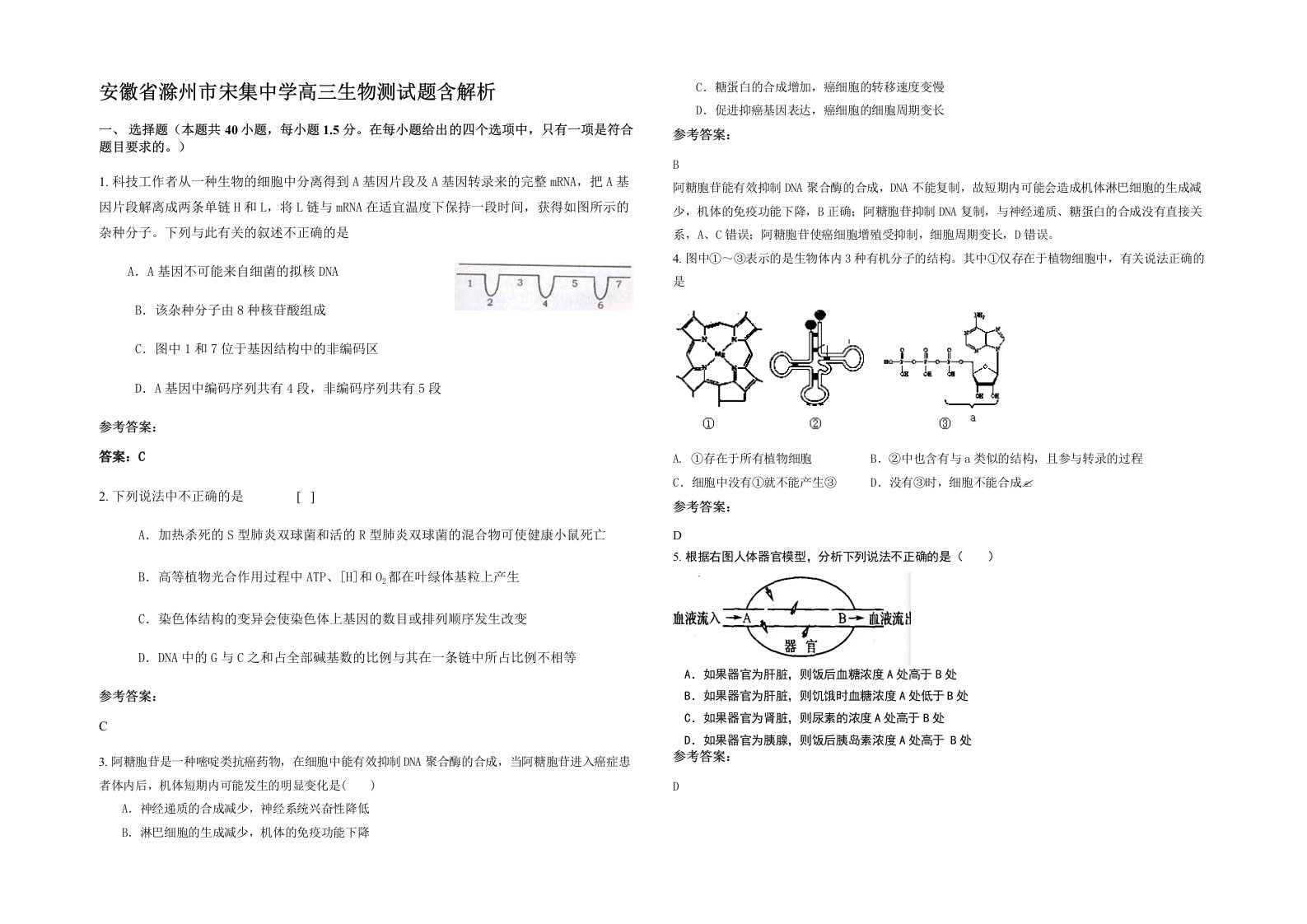 安徽省滁州市宋集中学高三生物测试题含解析