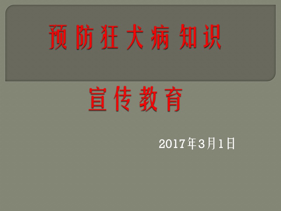 预防狂犬病主题班会课件