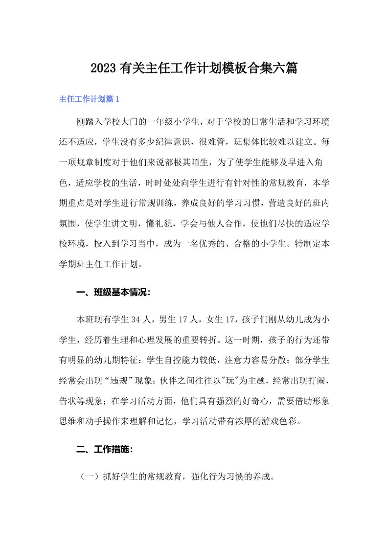 2023有关主任工作计划模板合集六篇