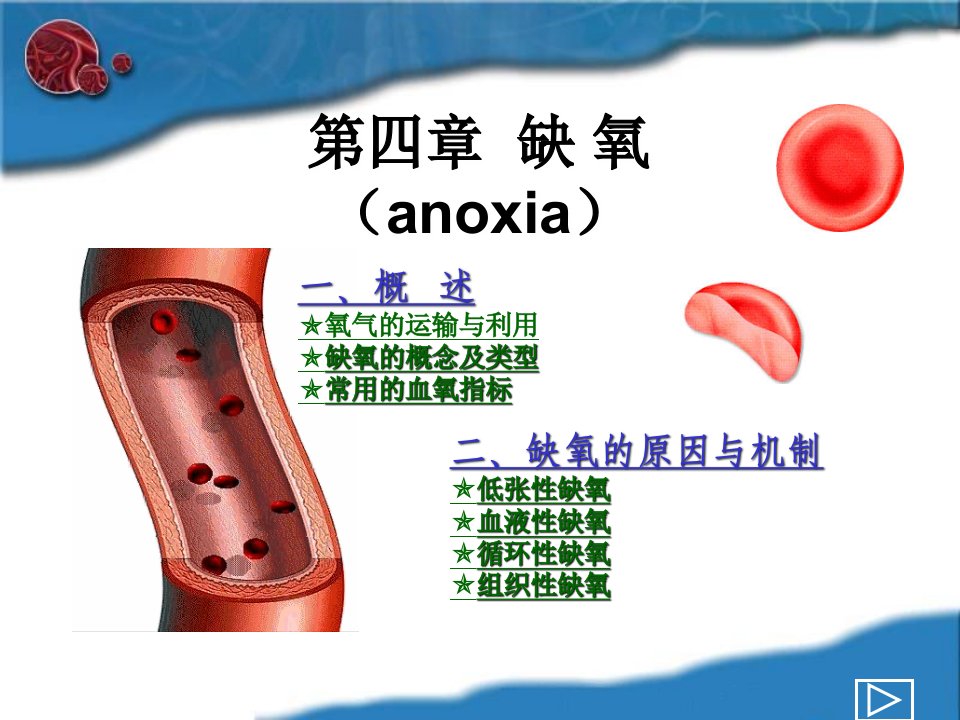 动物病理-缺氧PPT演示