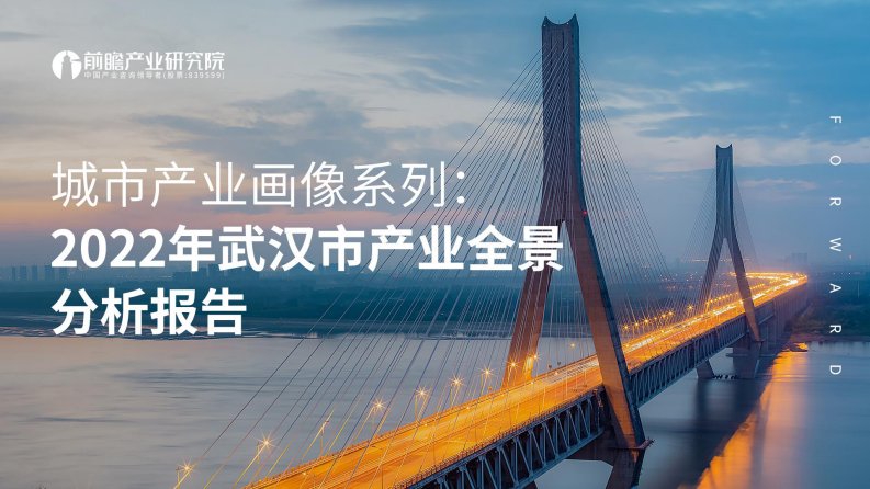 前瞻产业研究院-2022年武汉市产业全景分析报告-20220518