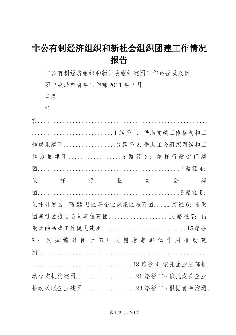 非公有制经济组织和新社会组织团建工作情况报告