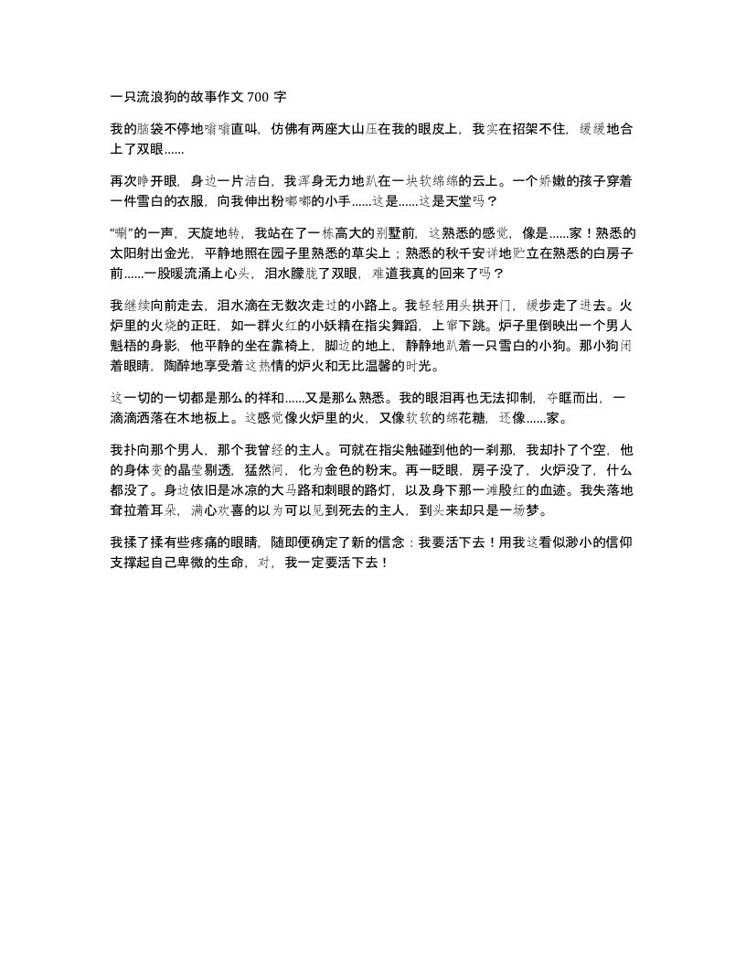 一只流浪狗的故事作文700字