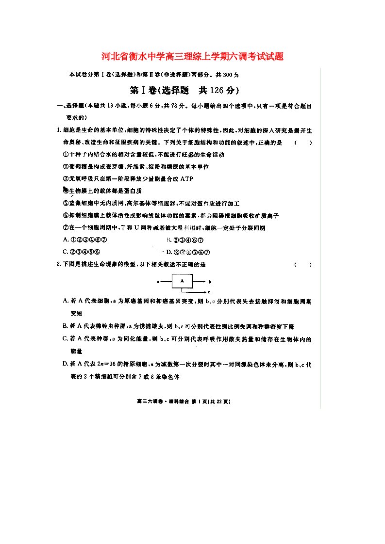 河北省衡水中学高三理综上学期六调考试试题