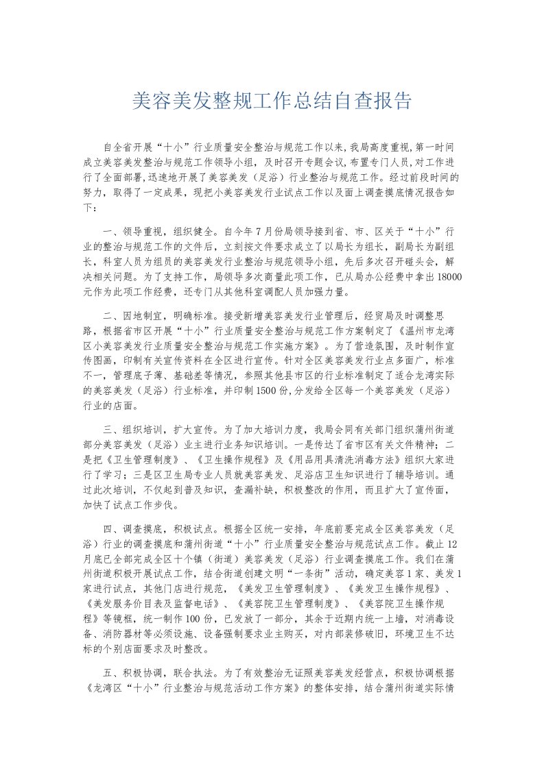 总结报告美容美发整规工作总结自查报告