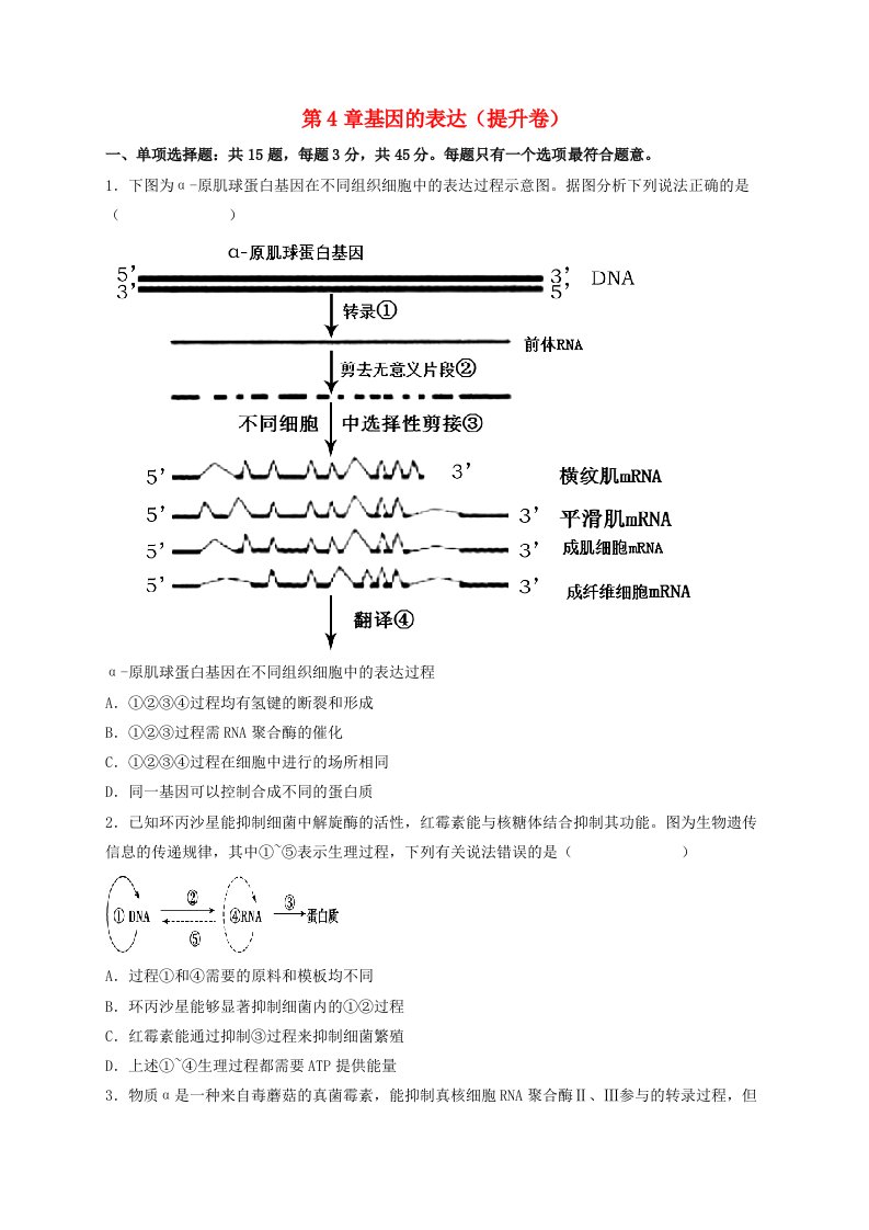 2023_2024学年高一生物下学期期末复习第4章基因的表达提升卷学生版新人教版必修2