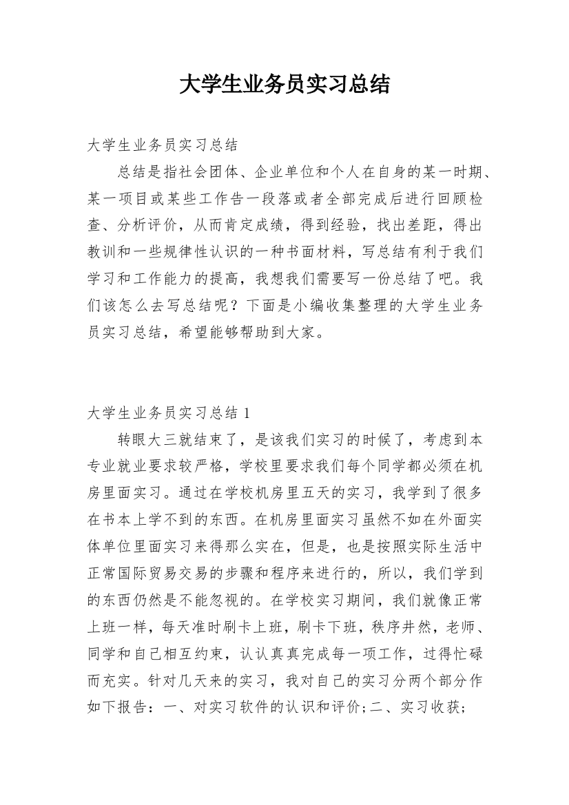 大学生业务员实习总结_2