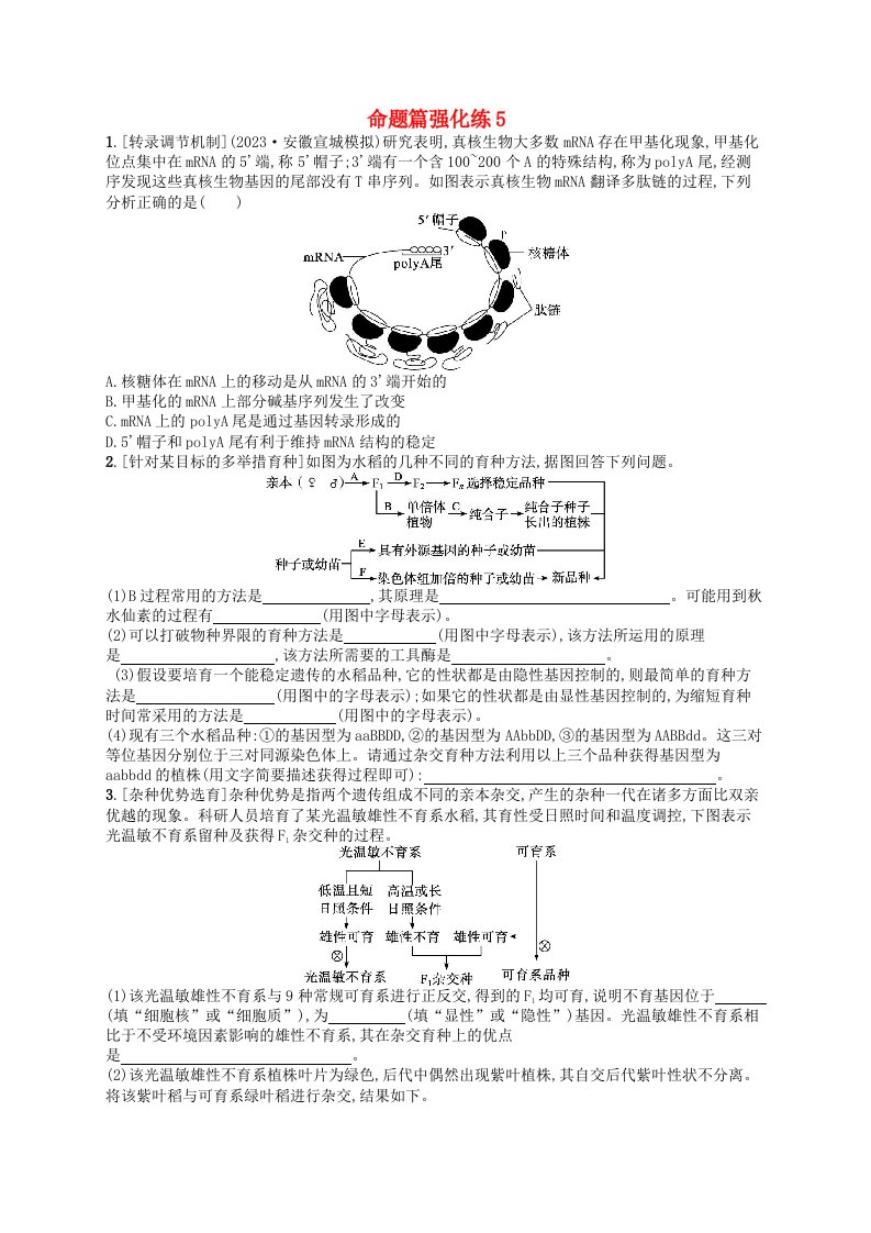 适用于老高考旧教材2024版高考生物二轮复习命题篇强化练5遗传的分子基础变异与进化