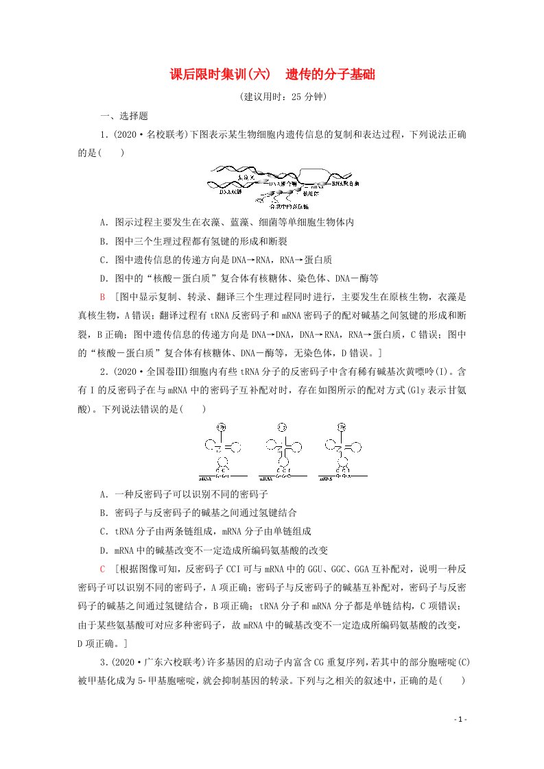 统考版2021高考生物二轮复习课后限时集训6遗传的分子基础含解析