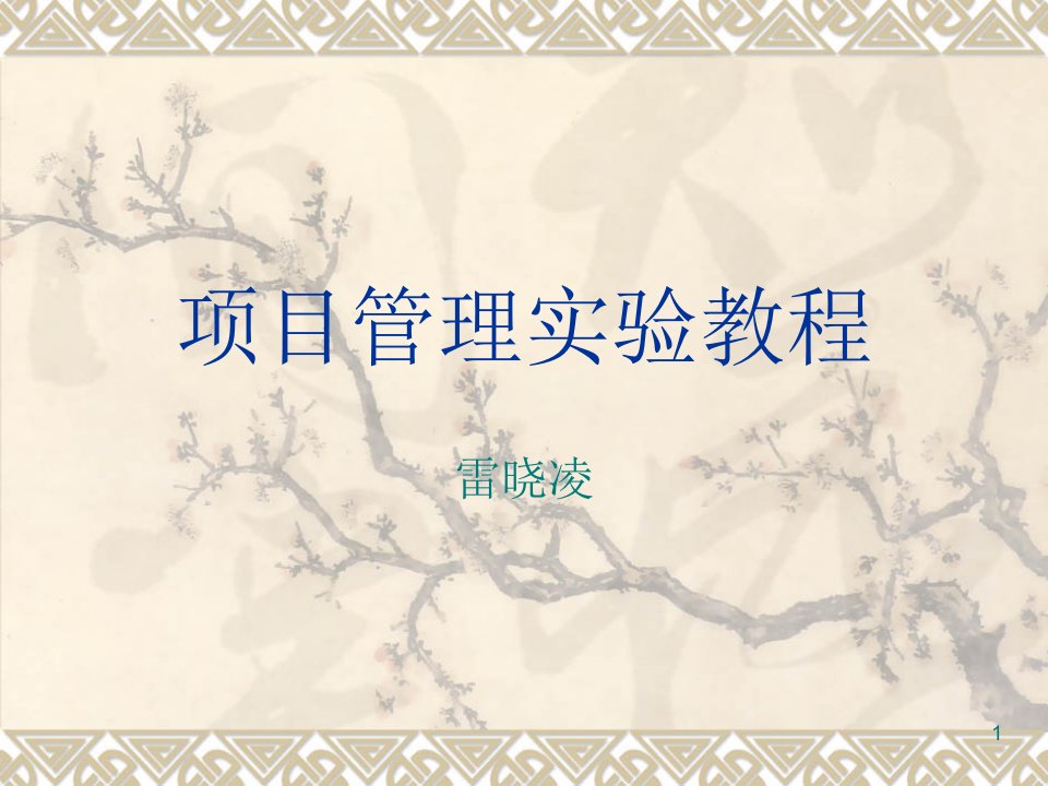 项目管理实验_PPT