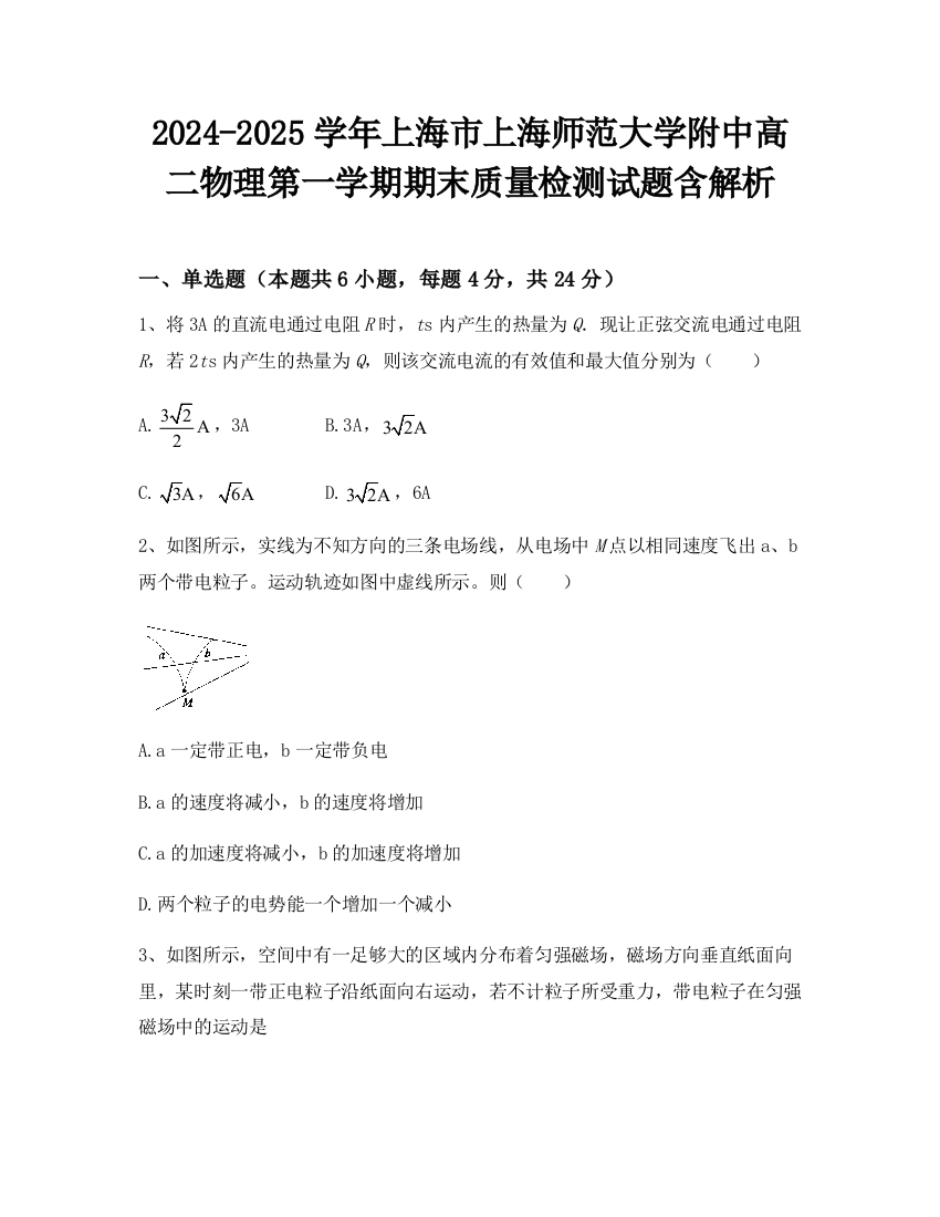 2024-2025学年上海市上海师范大学附中高二物理第一学期期末质量检测试题含解析