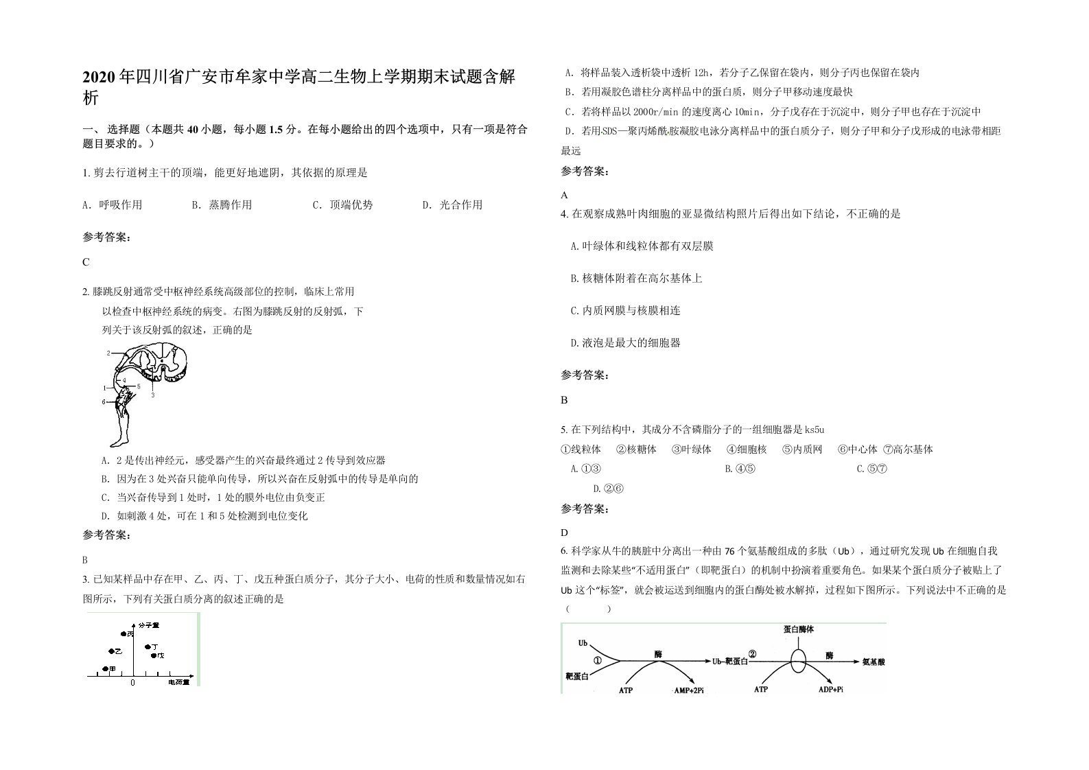 2020年四川省广安市牟家中学高二生物上学期期末试题含解析