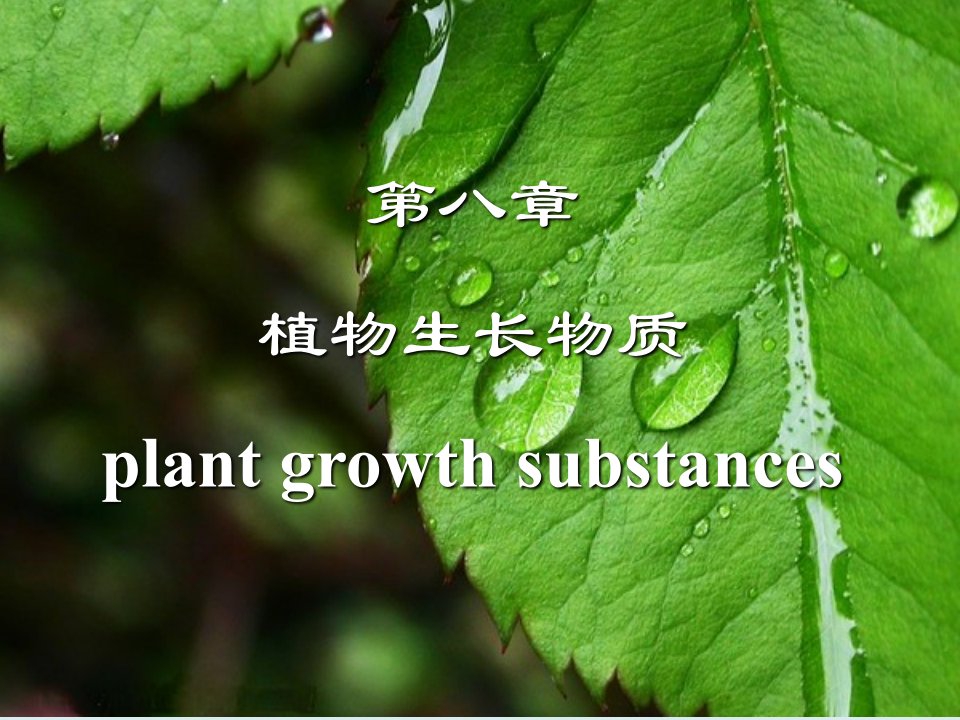 第八章-植物生长物质ppt课件