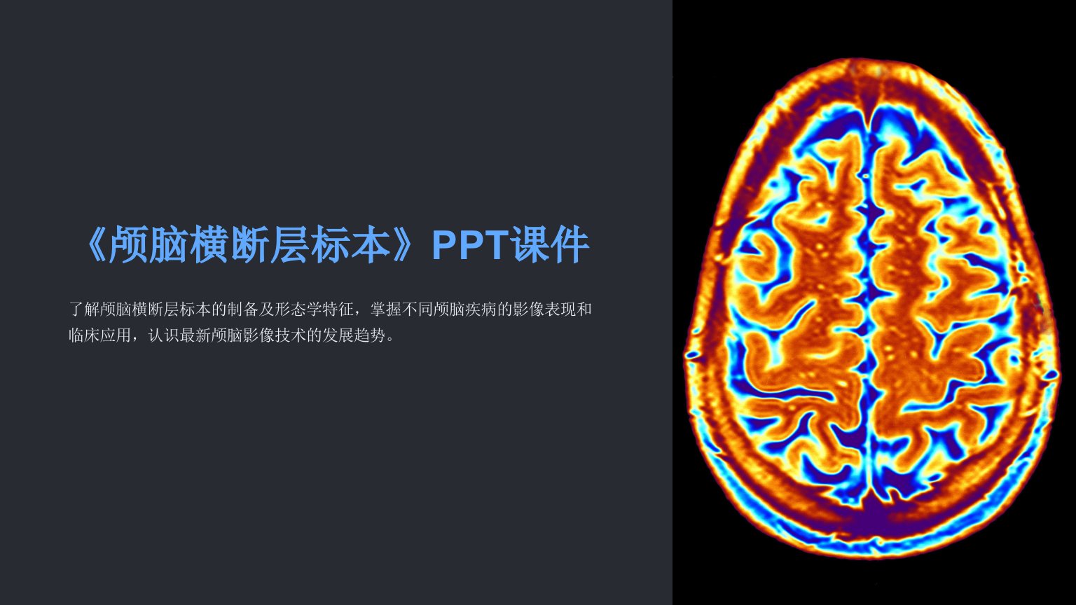 《颅脑横断层标本》课件