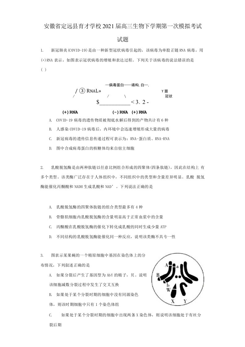 安徽省定远县育才学校2021届高三生物下学期第一次模拟考试试题