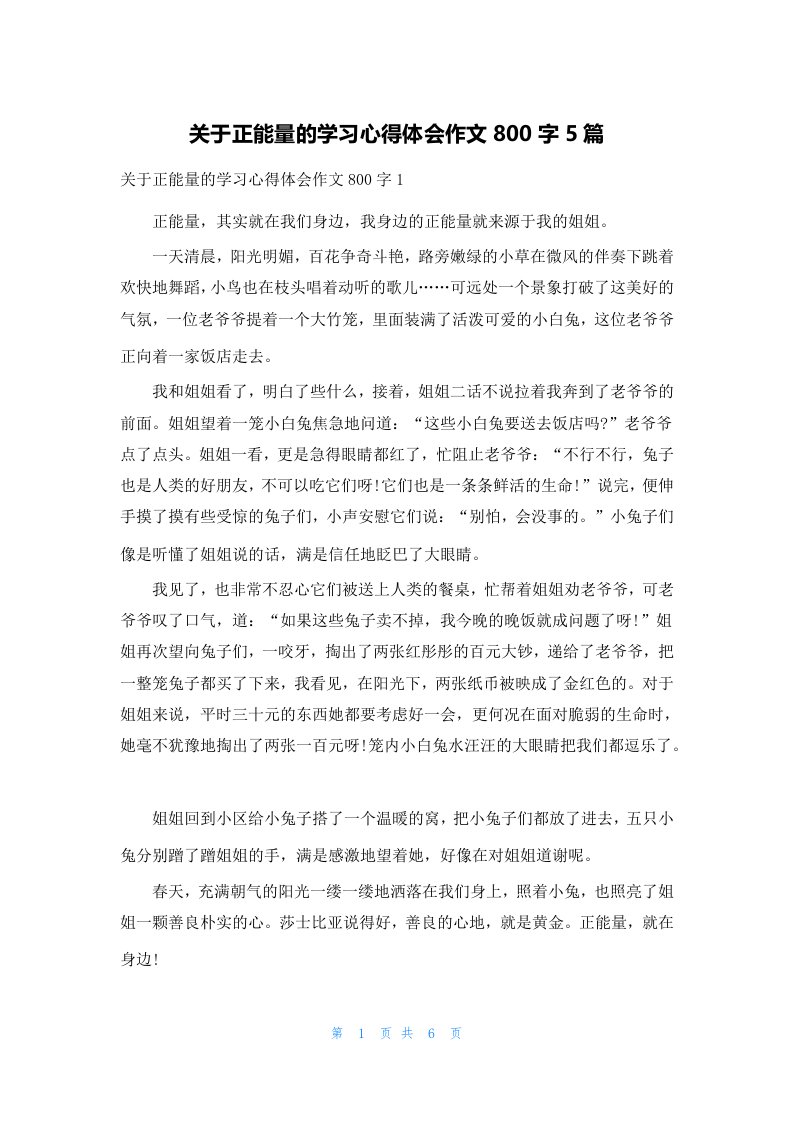 关于正能量的学习心得体会作文800字5篇