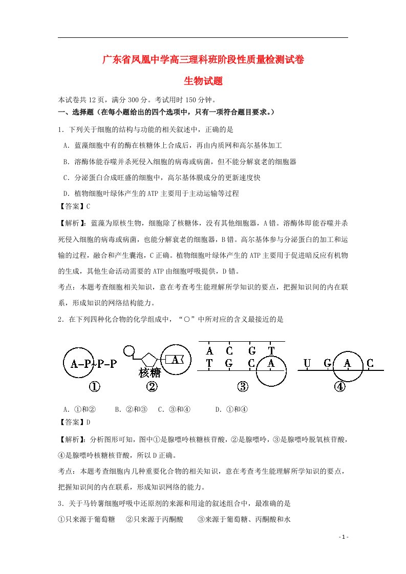 广东省广州市天河区凤凰中学高三生物质量检测试题（含解析）