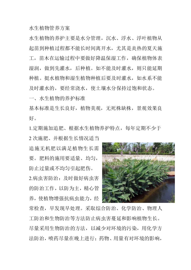 水生植物管养方案