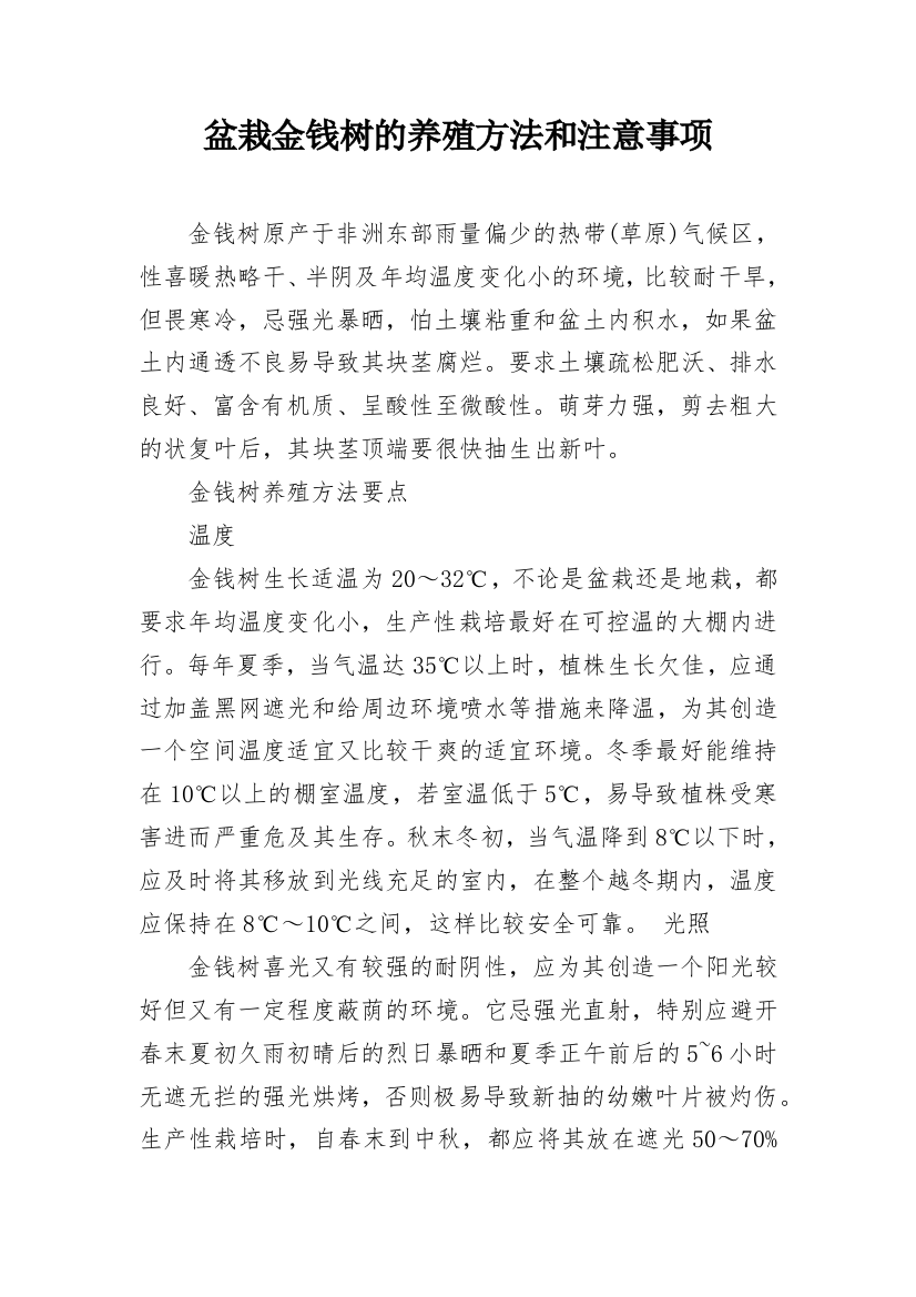 盆栽金钱树的养殖方法和注意事项