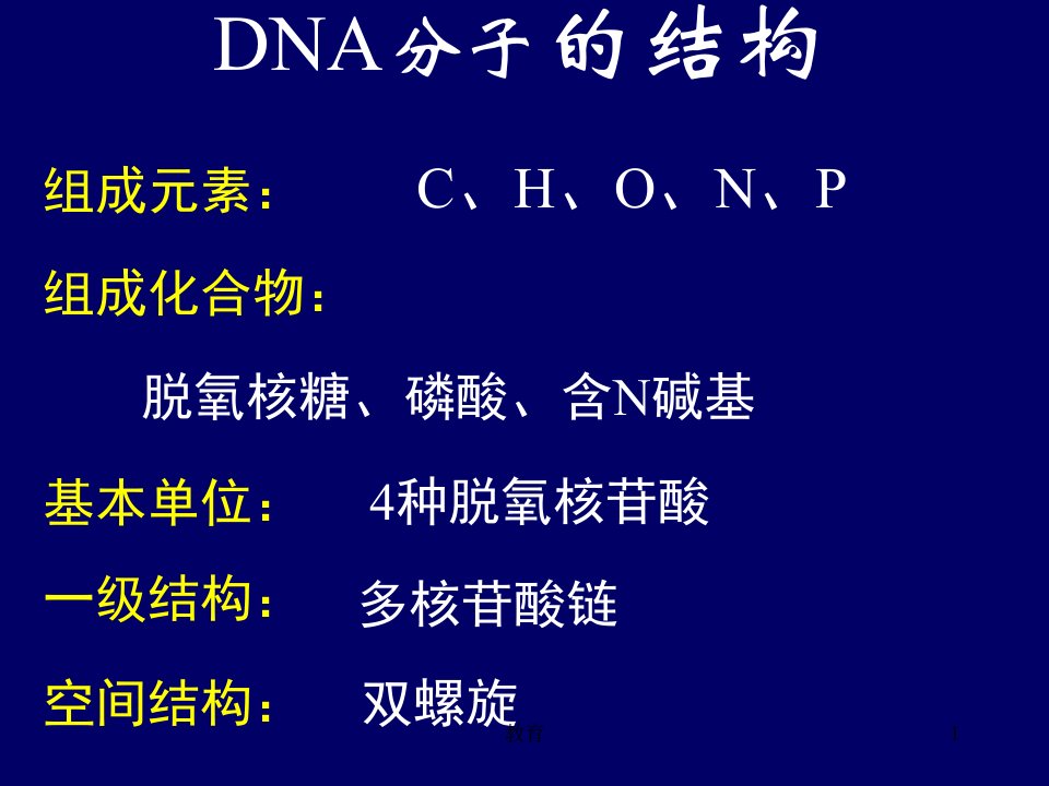 DNA分子的结构基础教育