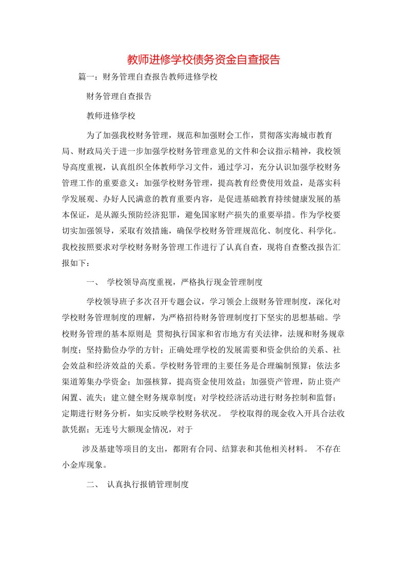 工作报告-教师进修学校债务资金自查报告