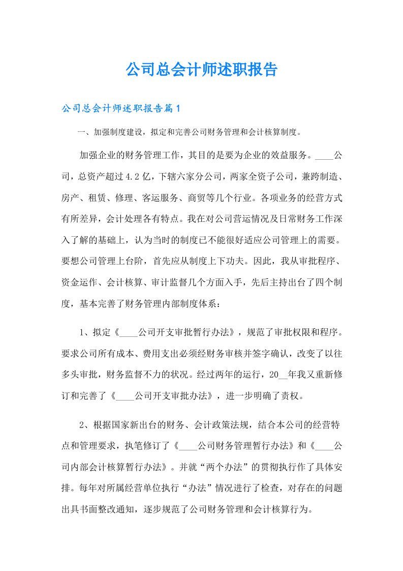 公司总会计师述职报告