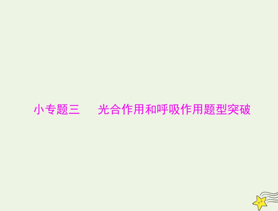 2023版高考生物一轮总复习小专题三光合作用和呼吸作用题型突破课件