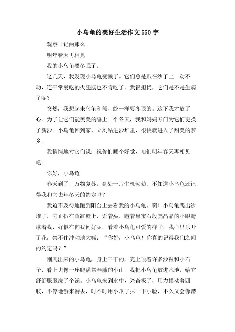 小乌龟的美好生活作文550字