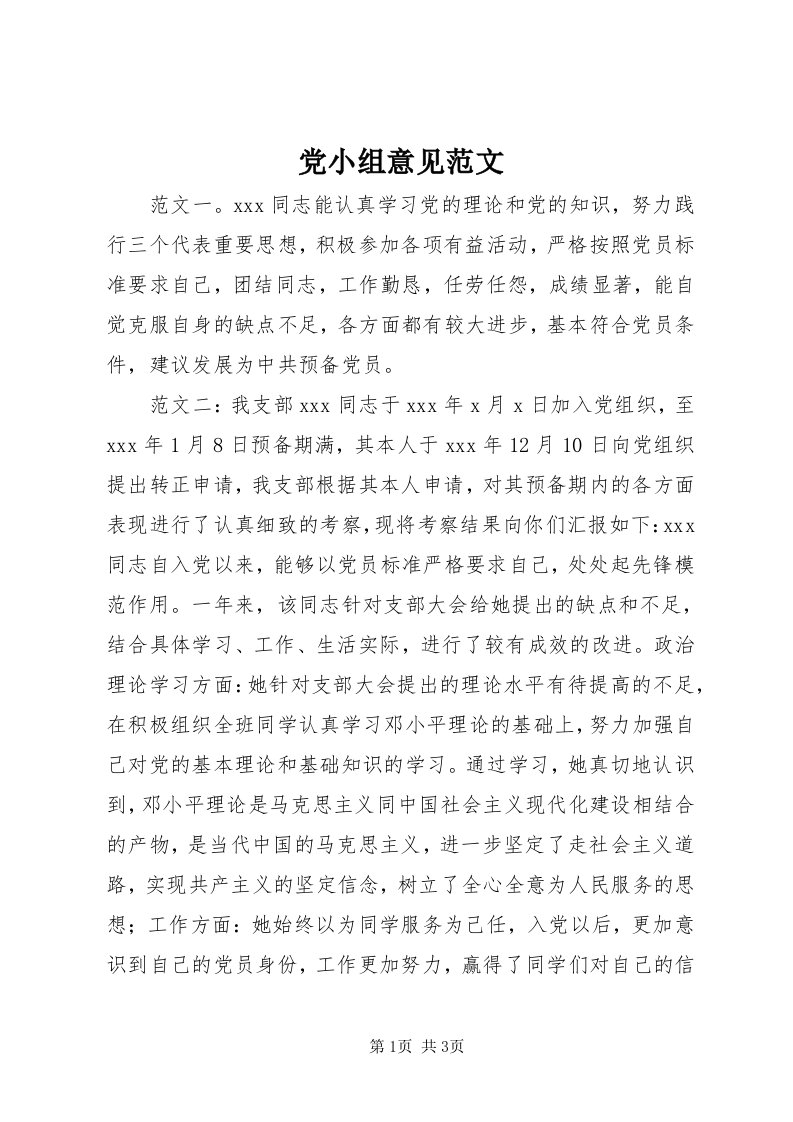 党小组意见范文