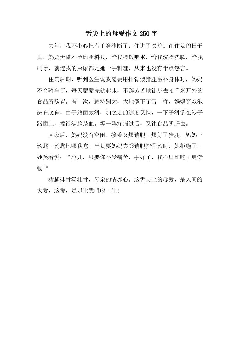 舌尖上的母爱作文250字