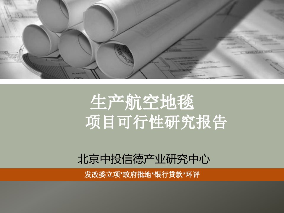 生产航空地毯项目可行性研究报告说课材料