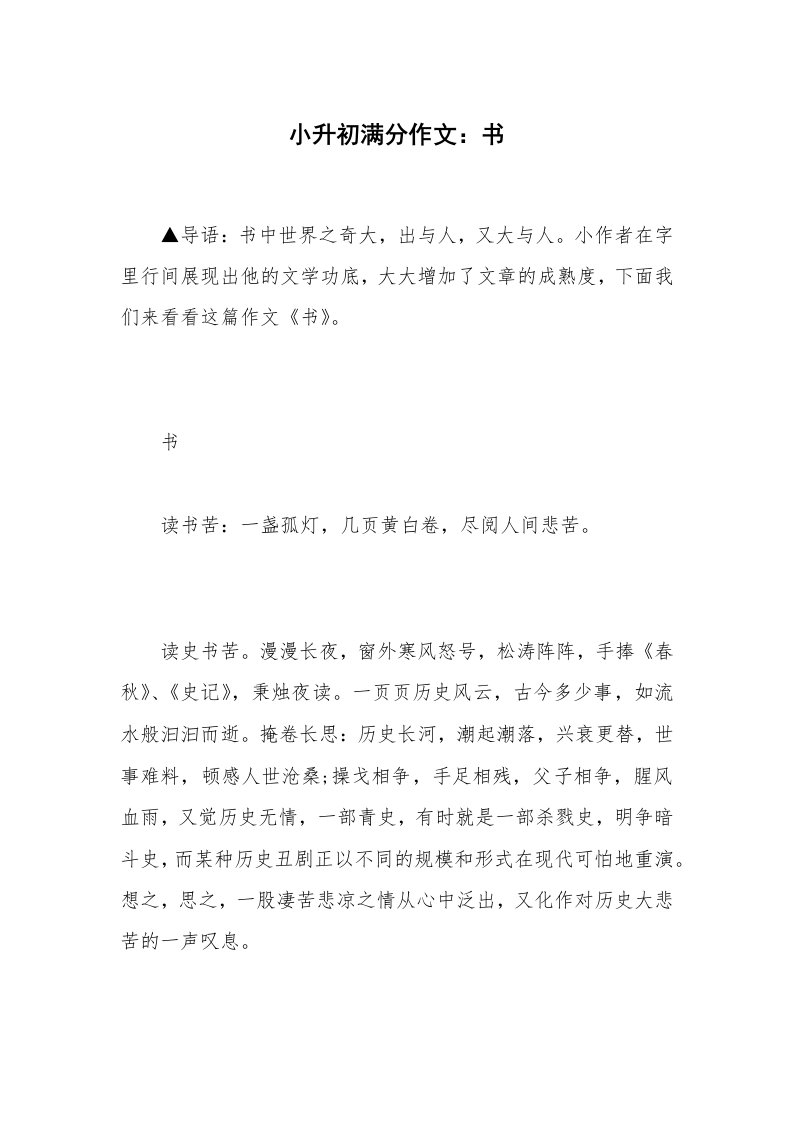 小升初满分作文：书